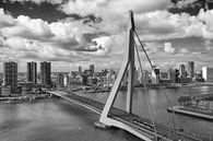 Pont Erasmus Rotterdam en noir et blanc par Michèle Huge Aperçu