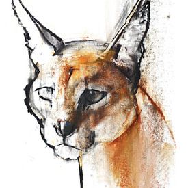 Arabische Caracal van Mark Adlington