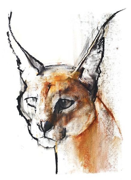 Arabian Caracal by Mark Adlington