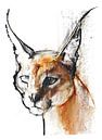 Arabian Caracal by Mark Adlington thumbnail