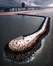 De pier van Oostende van Niels Tichelaar thumbnail