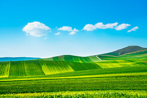 Frühlingslandschaft auf dem Lande in Apulien