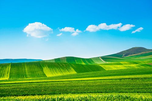Lentelandschap op het platteland van Apulië