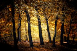 Keep Each Other Warm