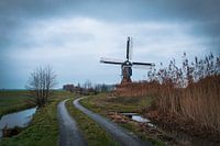 Molen in de Alblasserwaard