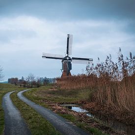 Molen in de Alblasserwaard van Consala van  der Griend