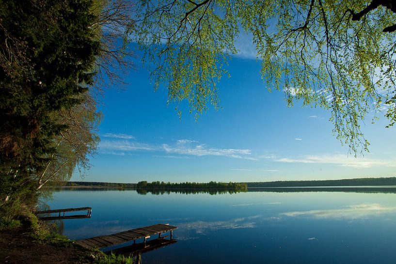 Dawn over the quiet water surface of the lake. Morning blue sky, on the shore of green trees illumin by Michael Semenov