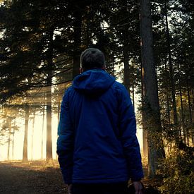 wisse hertsenberg Profilfoto