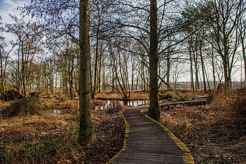 T Groenewoud Swalmen