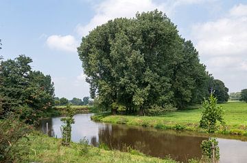 Roer meander bij Roermond van Richard Wareham