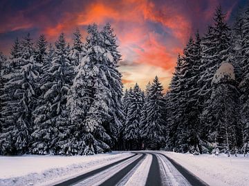 Schneebedeckte Straße in einer Winterlandschaft von Animaflora PicsStock