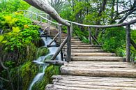 Naturpark Plitvicer Seen in Kroatien von Jennifer Hendriks Miniaturansicht