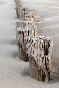 Strandpaaltjes