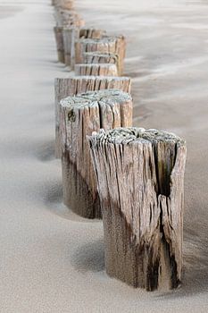 Strandpaaltjes