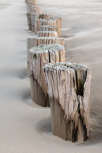 Beach posts