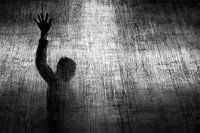 Im Gegenlicht