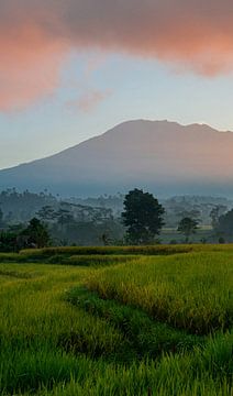 Vulkaan Gunung Agung bij Sidemen (deel 2 drieluik) van Ellis Peeters