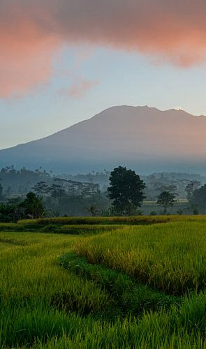 Vulkaan Gunung Agung bij Sidemen (deel 2 drieluik)