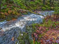 Beautiful Flowing River Among Nature