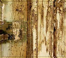 Peeling paint van Ria Overbeeke