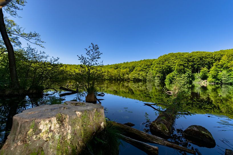 Herthasee, Jasmunder Nationalpark, Insel Rügen von GH Foto & Artdesign