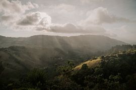Reisfotografie “Zonnestraal” | Costa Rica |  Midden Amerika | Monteverde | Donker groen| Bergen | Fotografie | Foto Print | Art Print van Estelle Bijker Fotografie