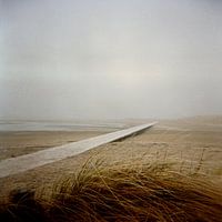 Strandloper