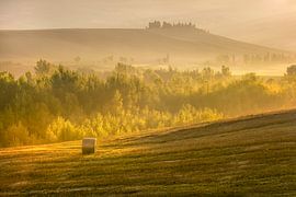 Tuscan Landscape by Peter Poppe