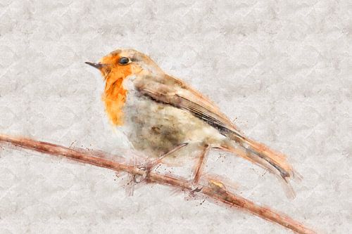 Portrait of a robin on a branch (watercolor)