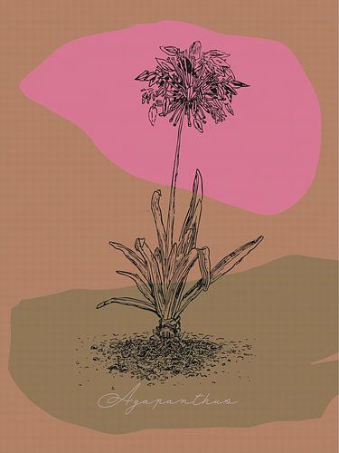 Mediterrane Denkweise_003