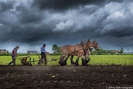 Aus dem Zeeland-Ton von Jeffrey Balk