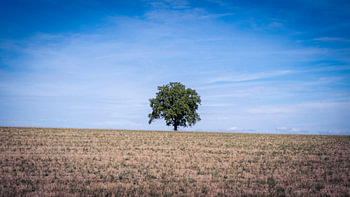 Zwischen dem Nichts und dem Nirgendwo