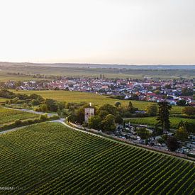 Vue sur Freinsheim (Palatinat) avec inscription sur Fabian Bracht