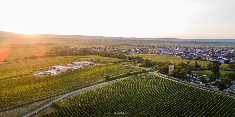 View over Freinsheim (Pfalz) with lettering by Fabian Bracht
