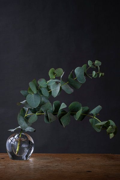 Grüne Zweige in Glasvase vor dunklem Hintergrund von Jenneke Boeijink