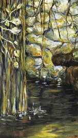 Sprookjesachtig  klein waterpoeltje in Caldas de Monchique. ( Algarve / Portugal)