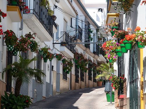 Bunte strasse in Estepona-3