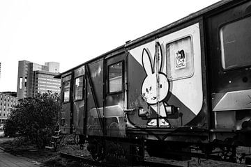 Miffy sur le tram sur PIX STREET PHOTOGRAPHY