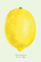 Lemondrops