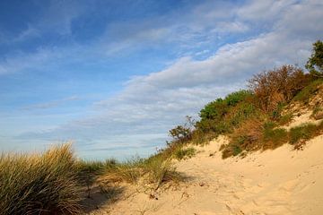 Oostzeestrand van Ostsee Bilder