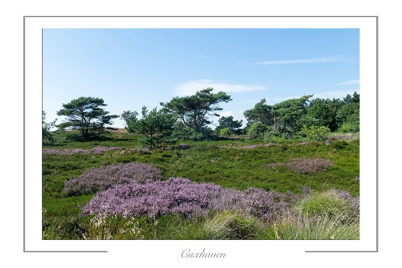 Cuxhaven by Richard Wareham