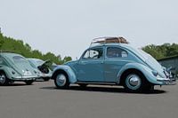 Barndoor Gathering 2023 27 Volkswagen Käfer