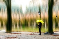 Only in the rain