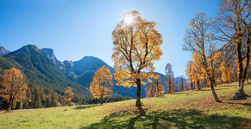 goldener Herbst am Ahornboden im Karwendel von SusaZoom