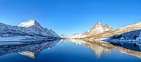 Gryllefjorden panoramische Ansicht während eines schönen Wintertages von Sjoerd van der Wal Fotografie Miniaturansicht