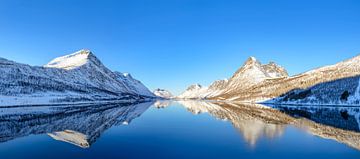 La vue panoramique de Gryllefjorden pendant un beau jour d'hiver sur Sjoerd van der Wal Photographie