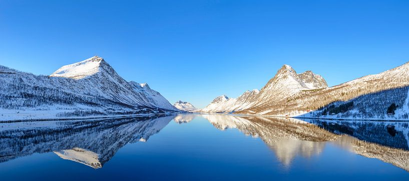 Gryllefjorden panoramische Ansicht während eines schönen Wintertages von Sjoerd van der Wal Fotografie