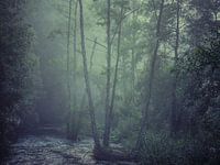 Smokey river
