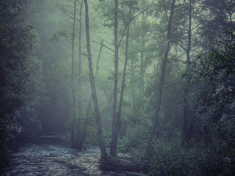 Smokey river by Aart Lameris