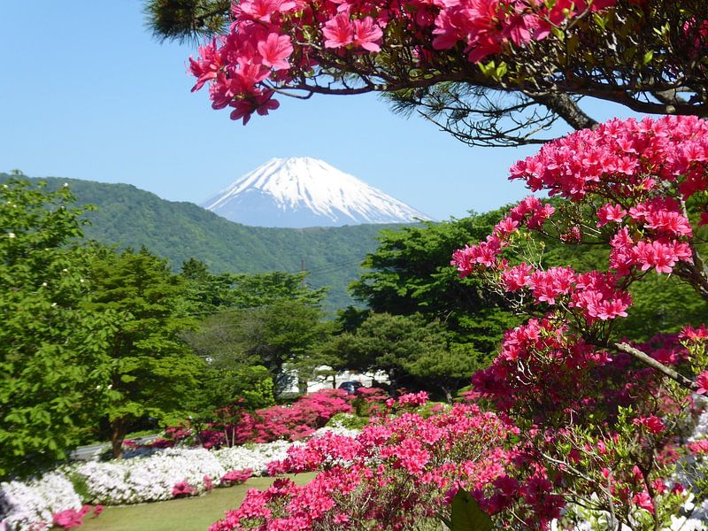 Mount Fuji by Hello Pompoyo